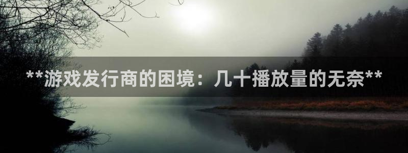 顺盈平台怎么样可靠吗：**游戏发行商的困境：几十播放量的无奈**