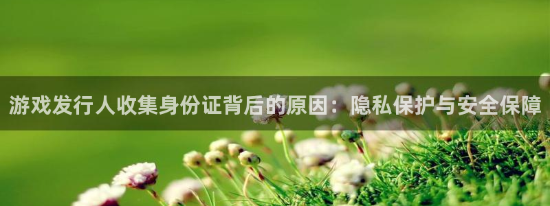 顺盈电子有限公司：游戏发行人收集身份证背后的原因：隐私保护与安全保障