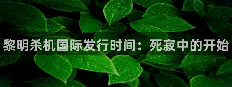 顺盈网络科技有限公司怎么样