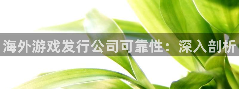 顺盈娱乐平台注册流程视频：海外游戏发行公司可靠性：深入剖析